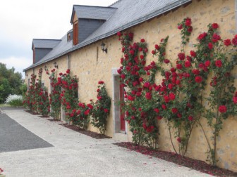 Le Domaine des Hallais, Gîte en Mayenne