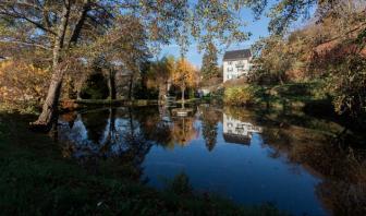 Maison Bellevue - Munster - Alsace, Gîte dans le Haut-Rhin