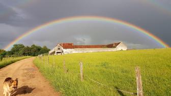 Gites du haras de la fontaine, Gîte en France